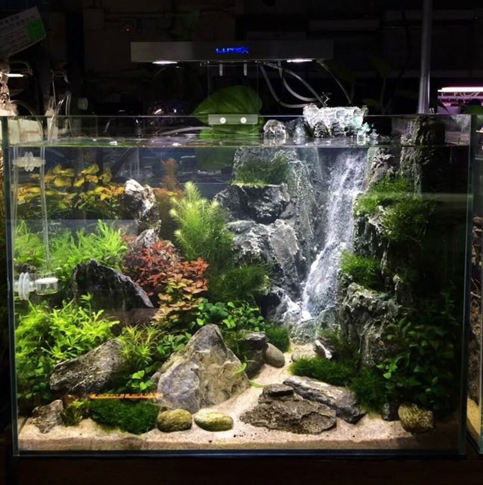 Giardino Verticale Preservato con Cascata - Sconto per Rivenditori e Aziende Fiorissima - Per interno