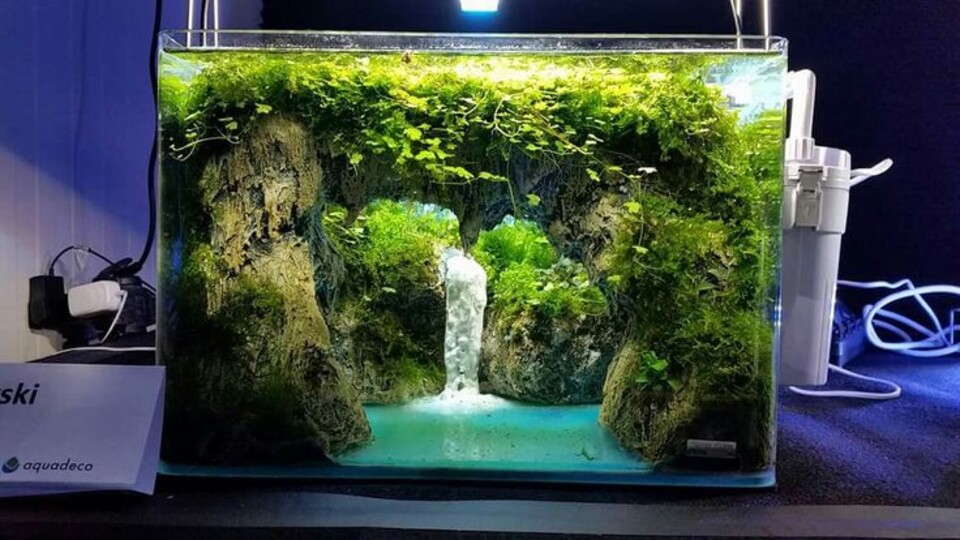Cascata a Parete con Vegetali Preservati - Sconto per Rivenditori e Aziende Fiorissima - Per interno