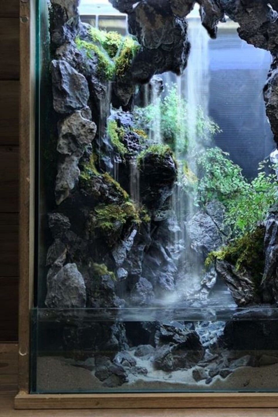 Cascata a Parete con Vegetali Preservati - Sconto per Rivenditori e Aziende Fiorissima - Per interno