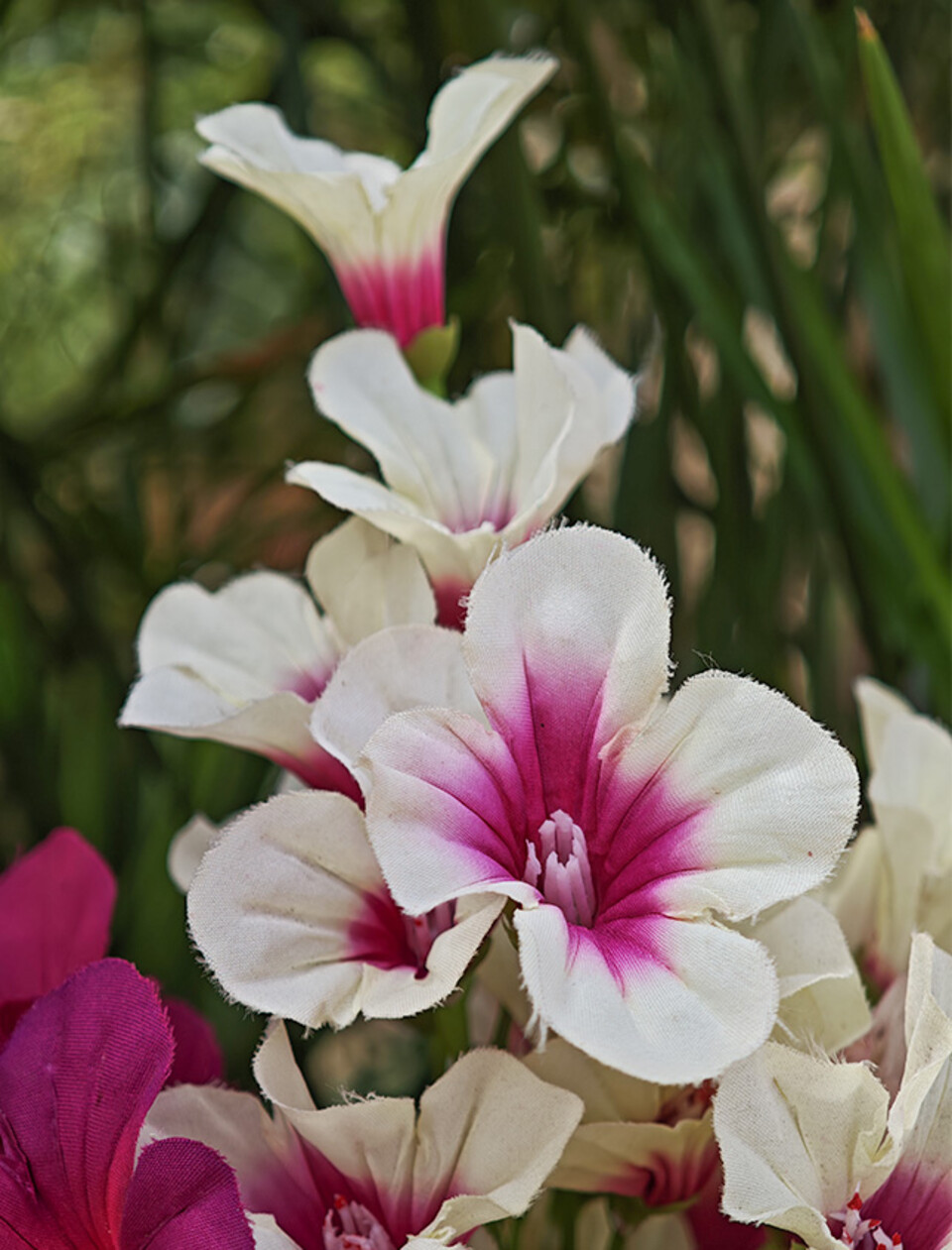 Petunia artificiale x 5 - Sconto per Fioristi e Aziende - in diversi colori