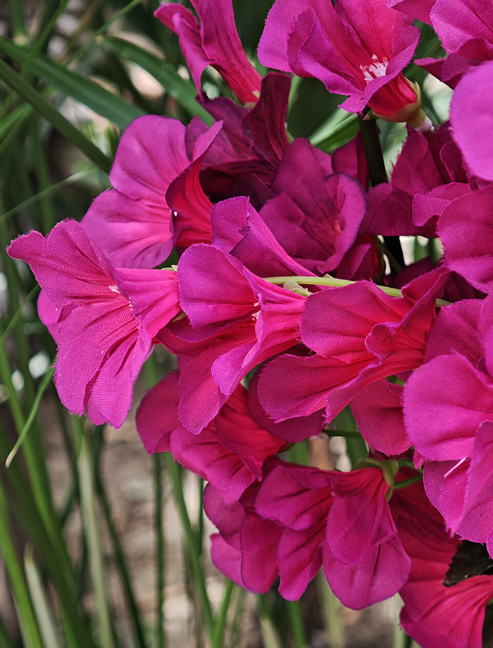 Petunia artificiale x 5 - Sconto per Fioristi e Aziende - in diversi colori