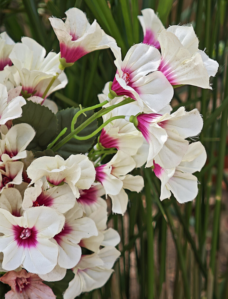 Petunia artificiale x 5 - Sconto per Fioristi e Aziende - in diversi colori