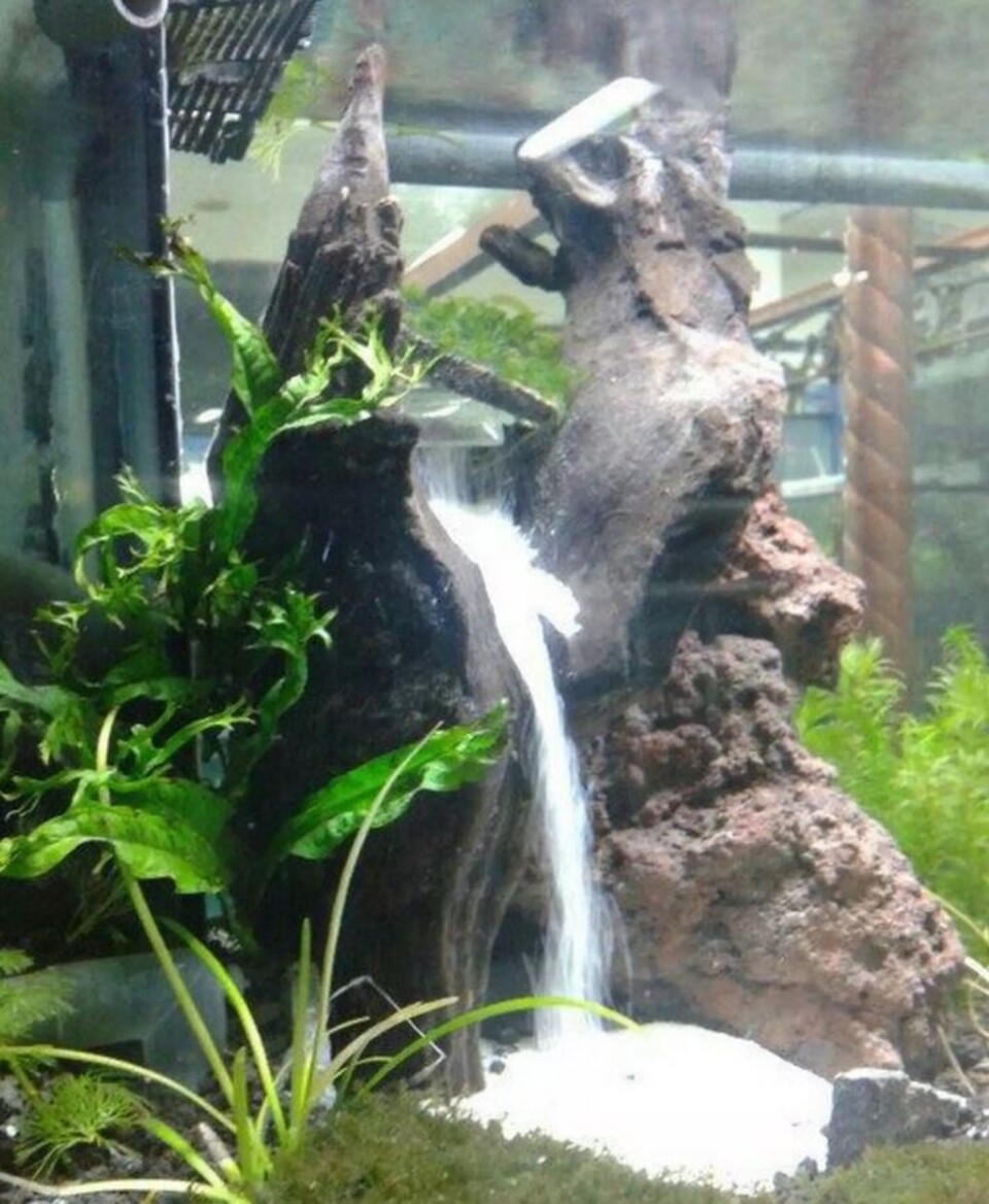 Giardino Verticale Preservato con Cascata - Sconto per Rivenditori e Aziende Fiorissima - Per interno