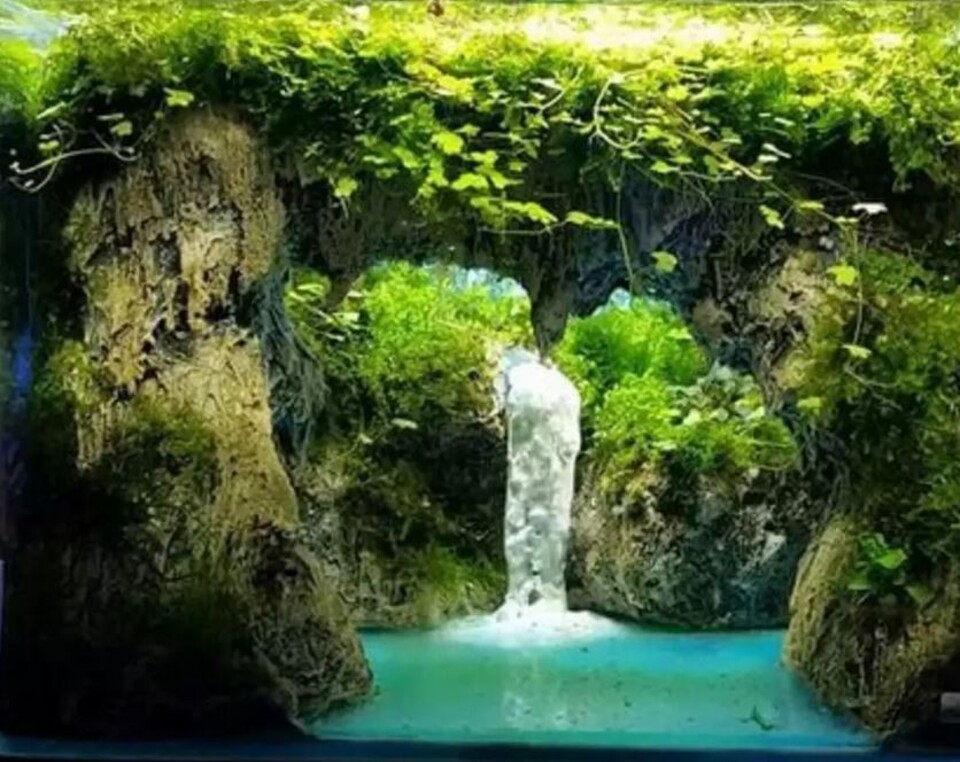 Giardino Verticale Preservato con Cascata - Sconto per Rivenditori e Aziende Fiorissima - Per interno