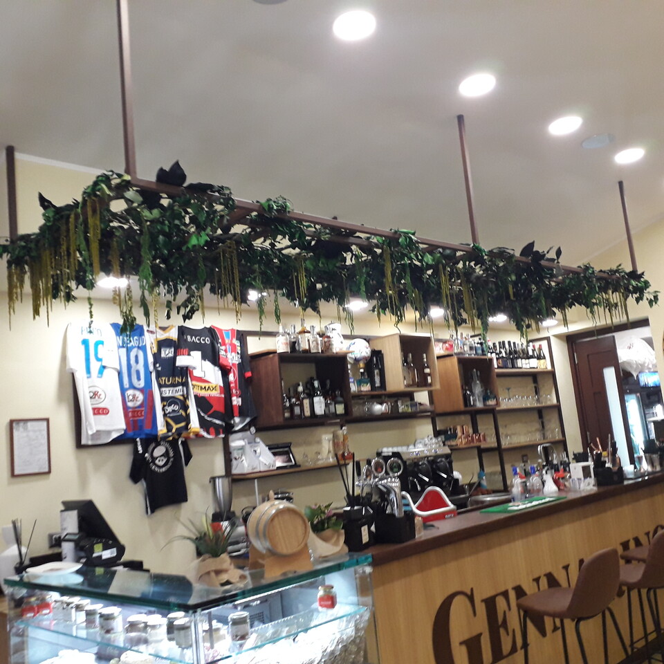 Soffitto con Vegetali Verdi Pendentii - Sconto per Fioristi e Aziende - Per esterno ed interno