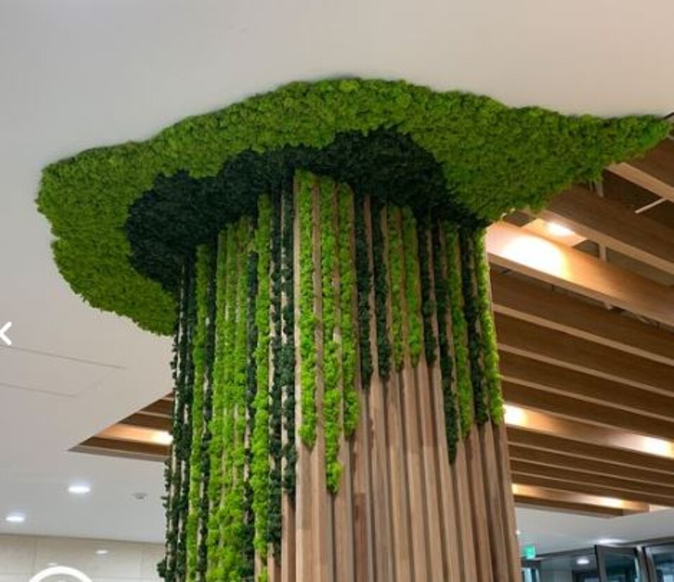 Soffitto con Vegetali Verdi Pendentii - Sconto per Fioristi e Aziende - Per esterno ed interno