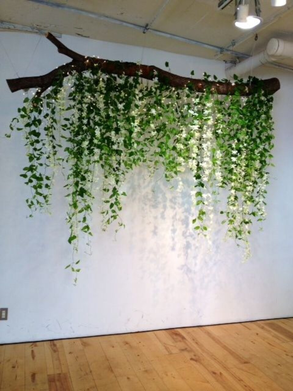 Soffitto con Vegetali Verdi Pendentii - Sconto per Fioristi e Aziende - Per esterno ed interno