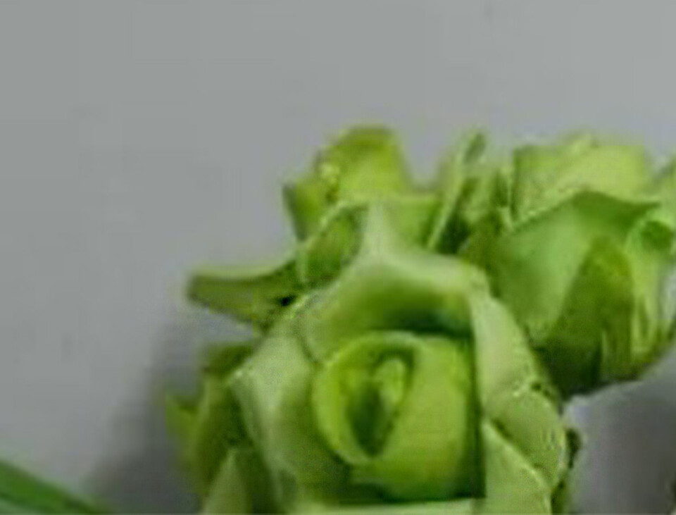 Roselline polifoam Ø 2,5 cm. - Sconti per Fioristi e Aziende - Mazzolino da 6 roselline