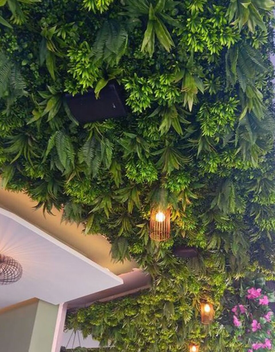 Soffitto con Vegetali Verdi Pendentii - Sconto per Fioristi e Aziende - Per esterno ed interno