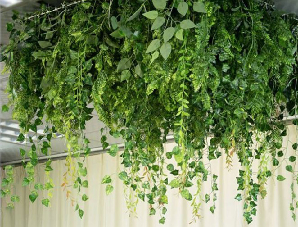 Soffitto con Vegetali Verdi Pendentii - Sconto per Fioristi e Aziende - Per esterno ed interno