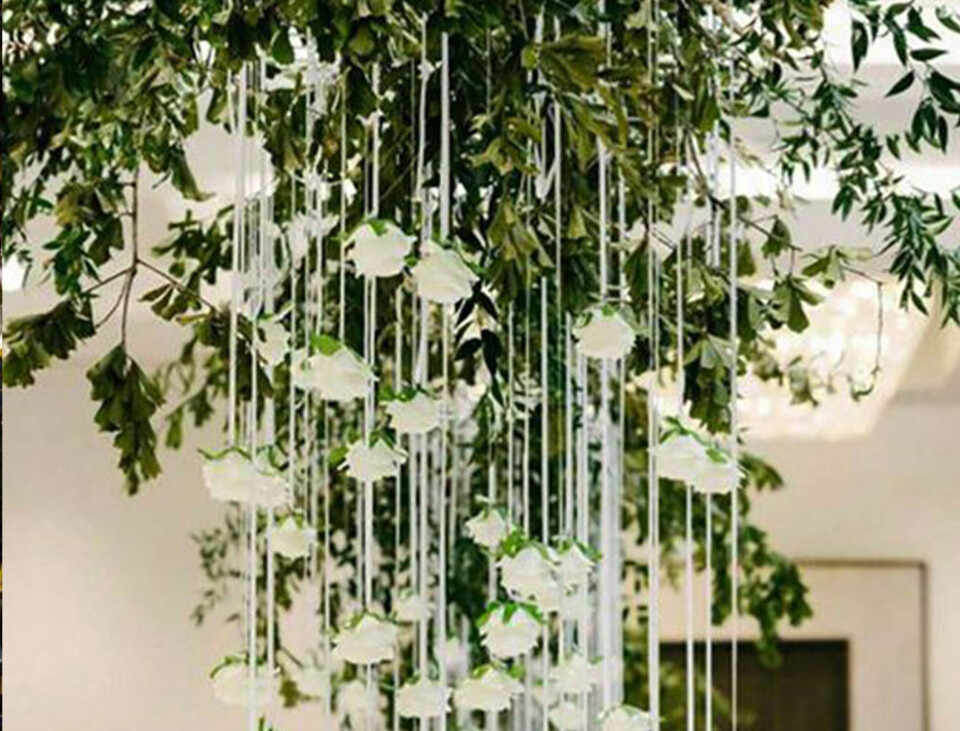 Soffitto con Vegetali Verdi Pendentii - Sconto per Fioristi e Aziende - Per esterno ed interno