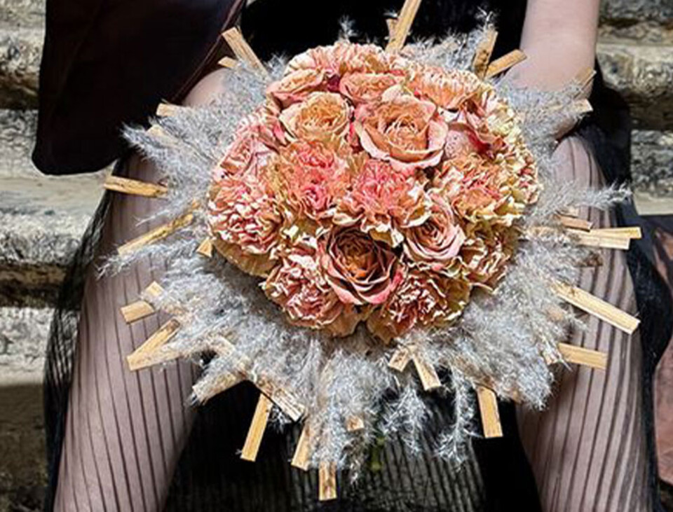 Spighe d'oro color rosso preservate  gr. 50 - Sconti per Fioristi e Aziende