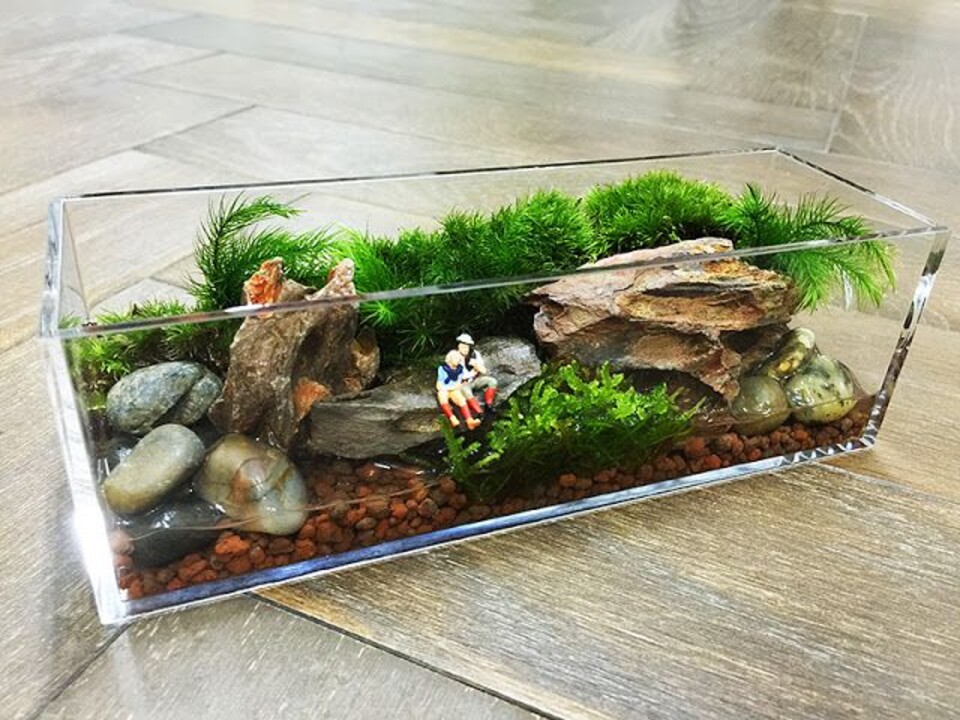 Vaschetta Rettangolare in Vetro cm. 25 x 10 H 10 - Sconti per Fioristi e Aziende