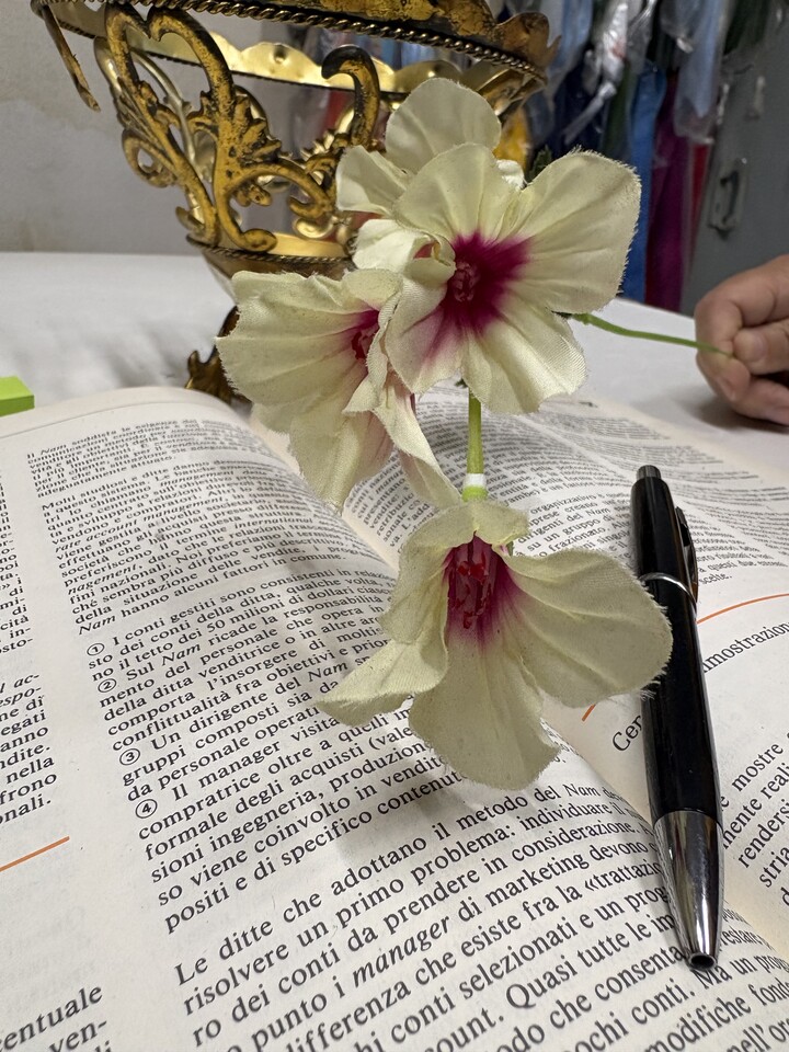 Petunia artificiale x 5 - Sconto per Fioristi e Aziende - in diversi colori