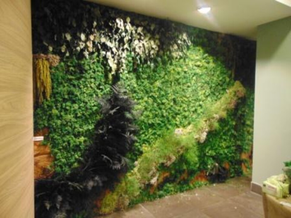 Giardini Vegetali Preservati - Adatti soltanto per interni . - Stile Murogreen 104