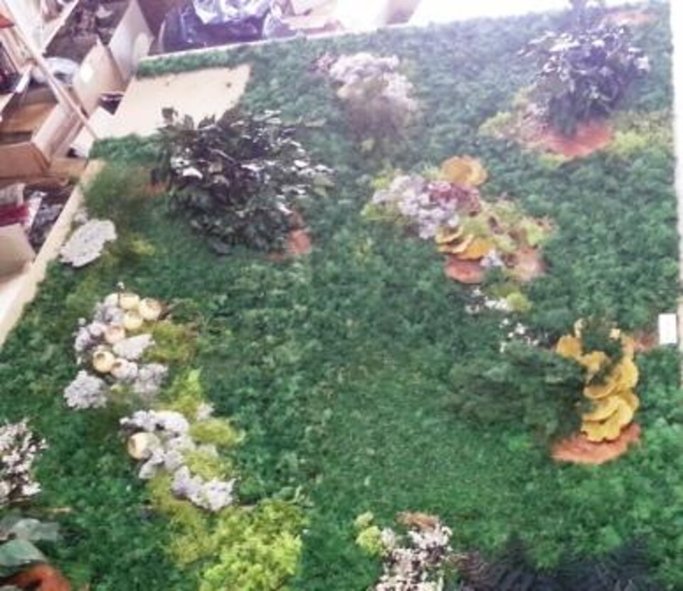 Giardini Vegetali Preservati - Adatti soltanto per interni . - Stile Airport VIP