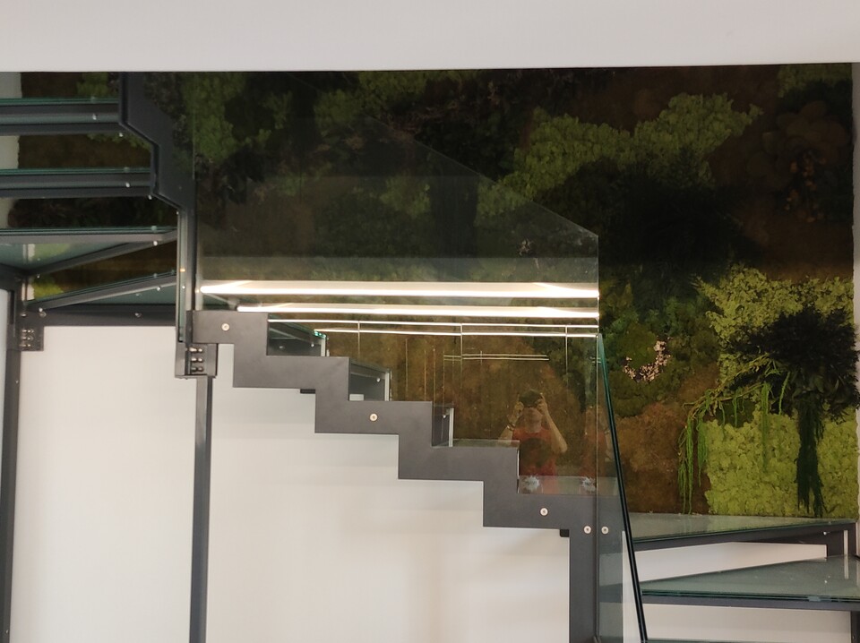 Giardini Vegetali Preservati - Adatti soltanto per interni . - Stile Jafar Front