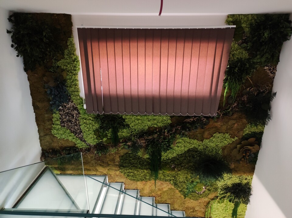 Giardini Vegetali Preservatii - Sconti per Fioristi e Aziende . - Adatto per Interno