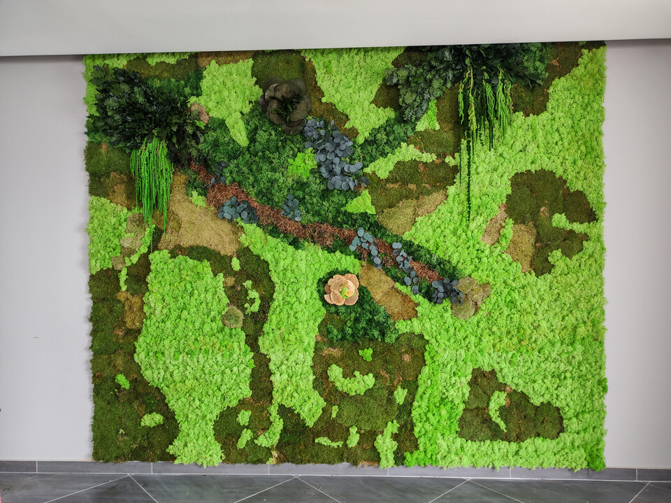 Giardini Vegetali Preservati - Adatti soltanto per interni . - Stile Jagur Ivy