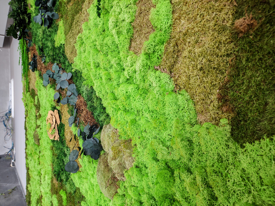Giardini Vegetali Preservati - Adatti soltanto per interni . - Stile Jagur Ivy