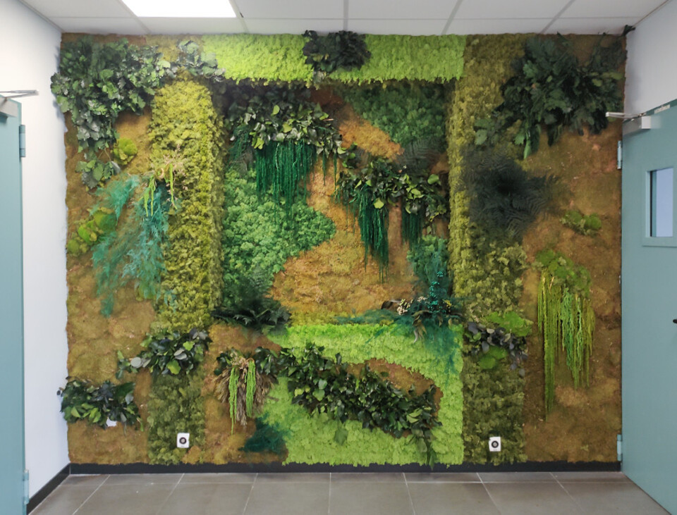 Giardini Vegetali Preservati - Adatti soltanto per interni . - Stile Nicchia 87