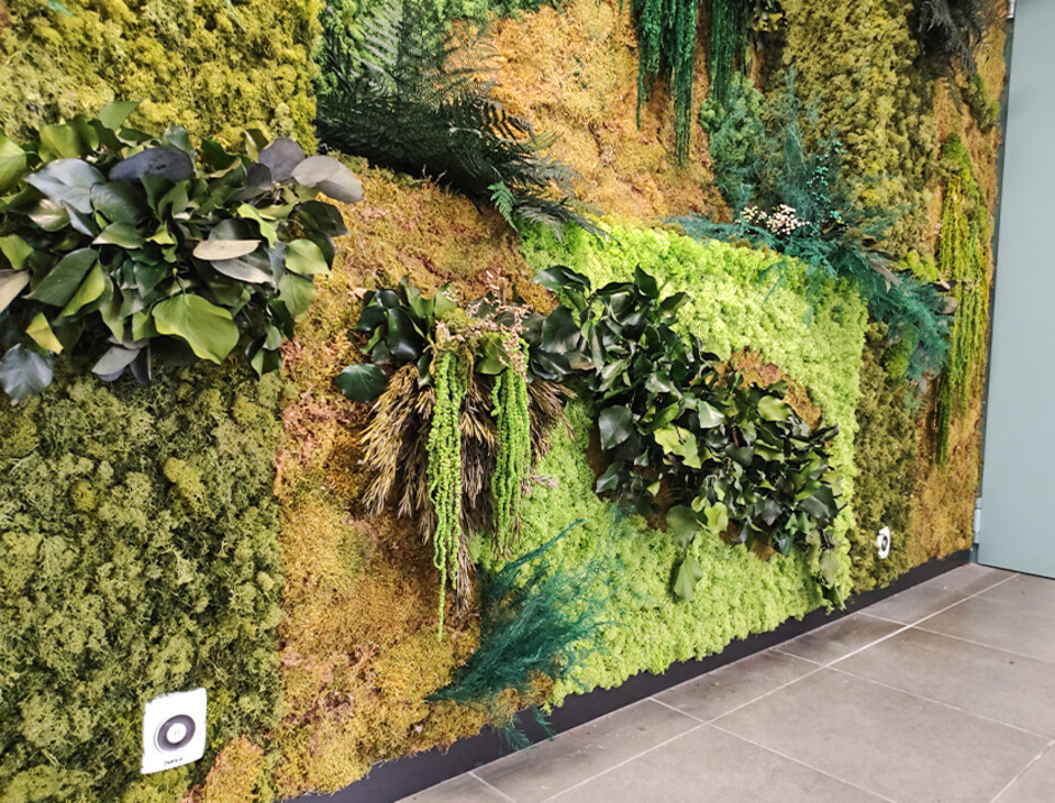 Giardini Vegetali Preservati - Adatti soltanto per interni . - Stile Nicchia 87