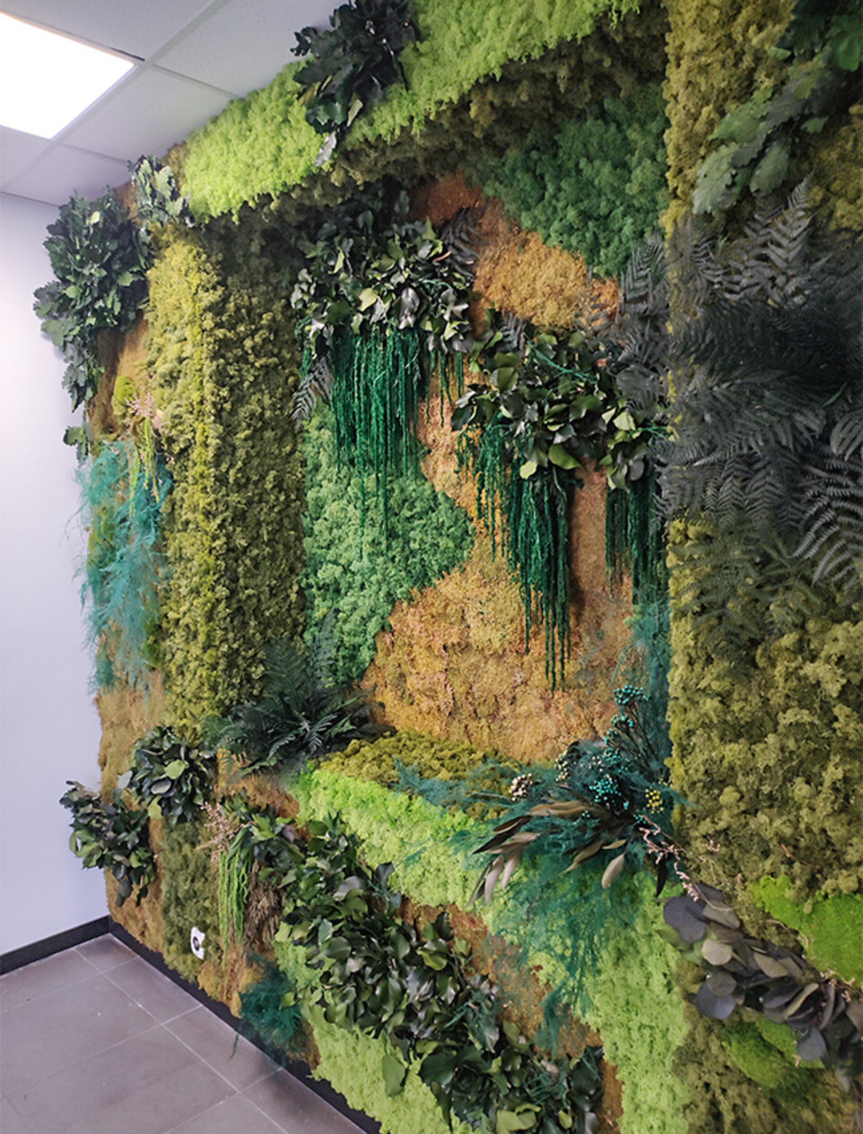 Giardini Vegetali Preservati - Adatti soltanto per interni . - Stile Nicchia 87