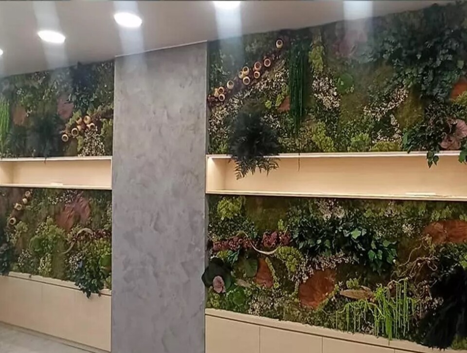 Giardini Vegetali Preservatii - Sconti per Fioristi e Aziende . - Adatto per Interno