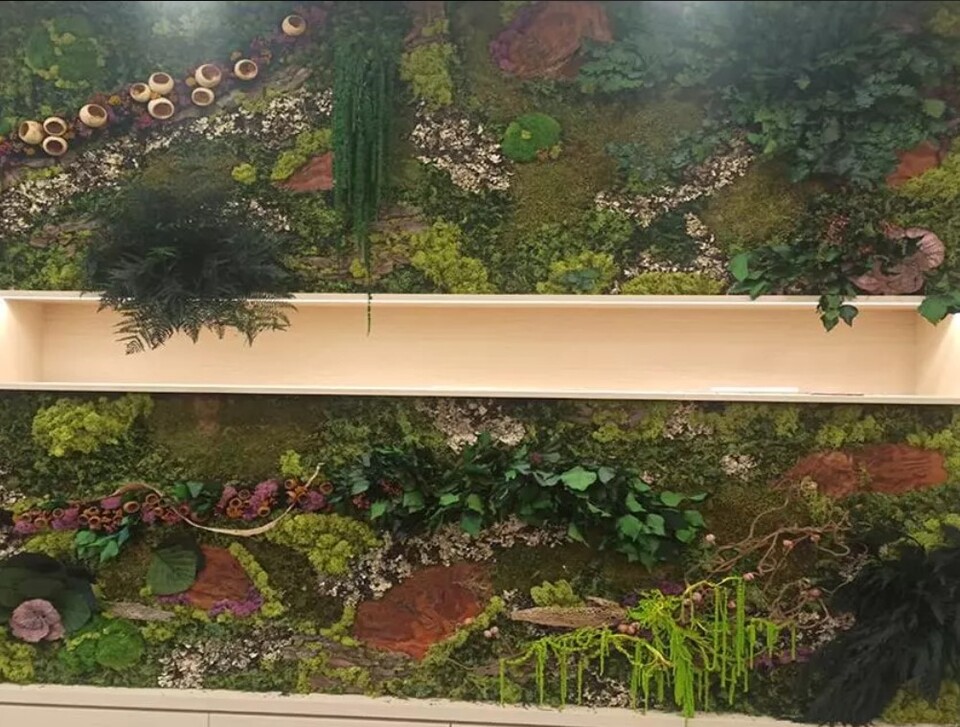 Giardini Vegetali Preservati - Adatti soltanto per interni . - Stile Avola Marin