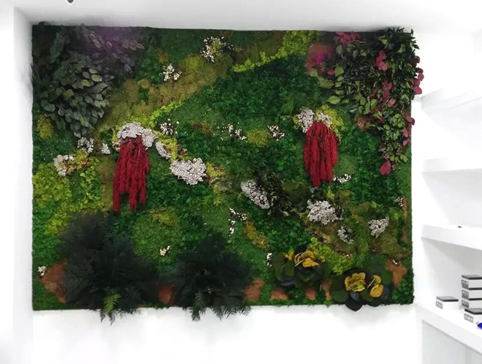 Giardini Vegetali Preservati - Sconti per Fioristi e Aziende . - Stile due fonti