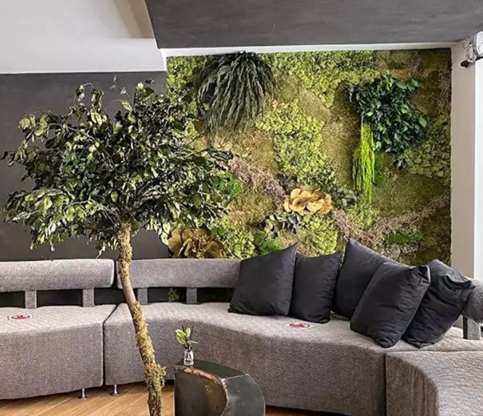 Giardini Vegetali Preservati - Sconti per Fioristi e Aziende . - Adatto per Interno