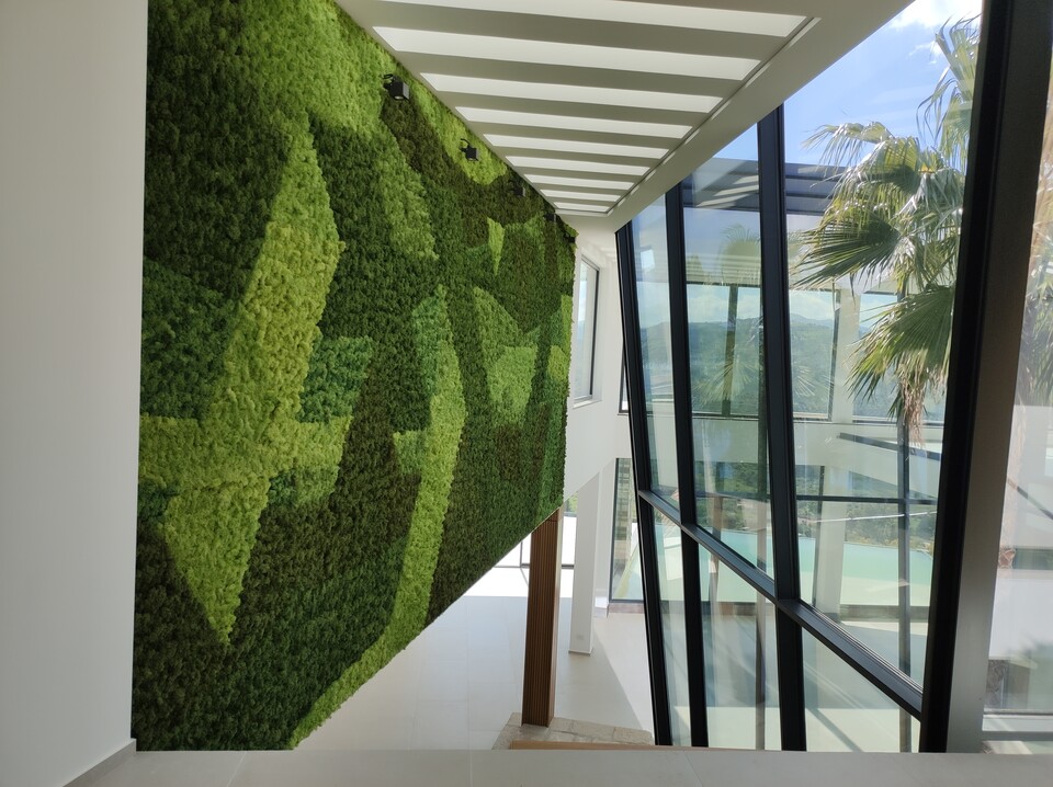 Parete Moss Stabilizzata - Sconti per Fioristi e Aziende . - Wall Moss a metro quadrato