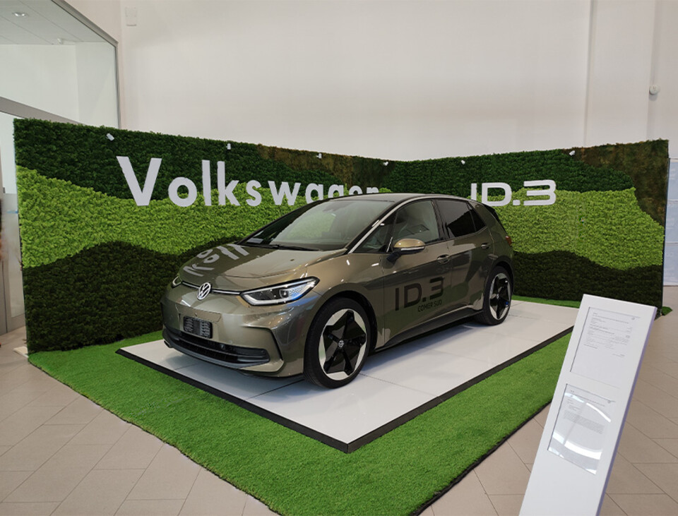 Parete Moss Stabilizzata - Sconti per Fioristi e Aziende . - Stile WW Catania