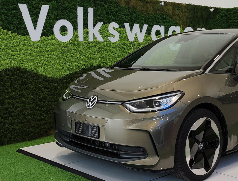 Parete Moss Stabilizzata - Sconti per Fioristi e Aziende . - Wall Moss a metro quadrato