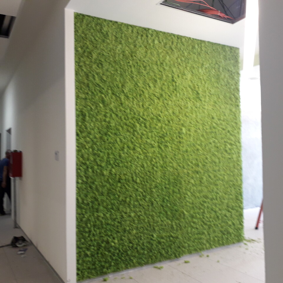 Parete Moss Stabilizzata - Sconti per Fioristi e Aziende . - Wall Moss a metro quadrato