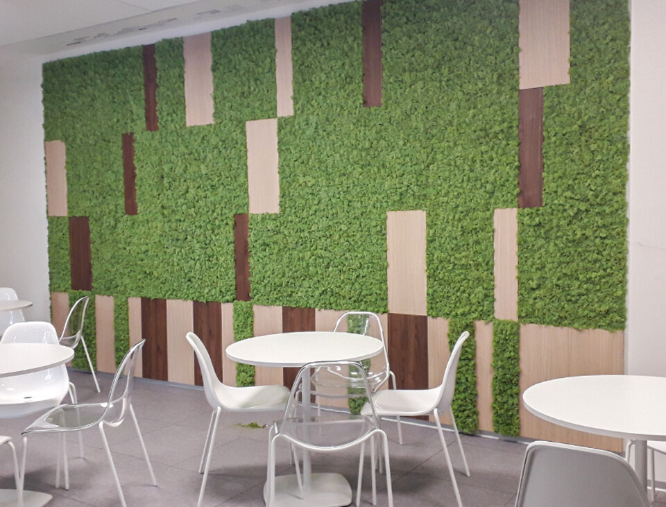 Parete Moss Stabilizzata - Sconti per Fioristi e Aziende . - Wall Moss a metro quadrato