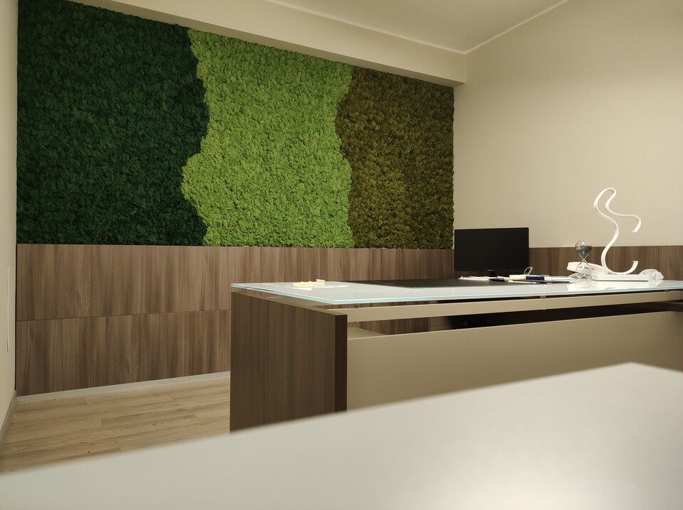 Parete Moss Stabilizzata - Sconti per Fioristi e Aziende . - Wall Moss a metro quadrato