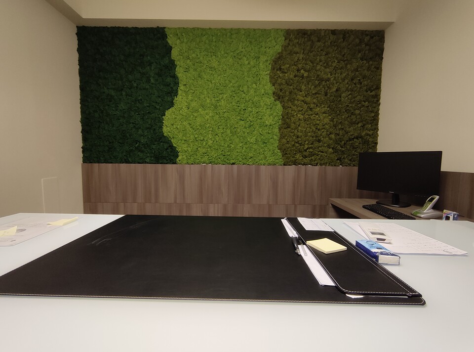 Parete Moss Stabilizzata - Sconti per Fioristi e Aziende . - Stile Flag 3