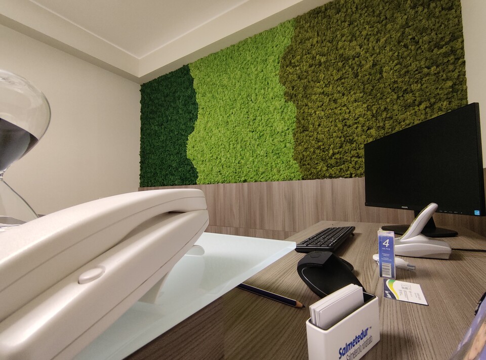 Parete Moss Stabilizzata - Sconti per Fioristi e Aziende . - Wall Moss a metro quadrato