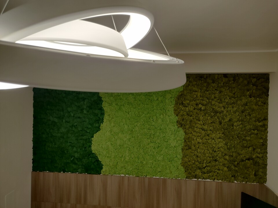 Parete Moss Stabilizzata - Sconti per Fioristi e Aziende . - Wall Moss a metro quadrato