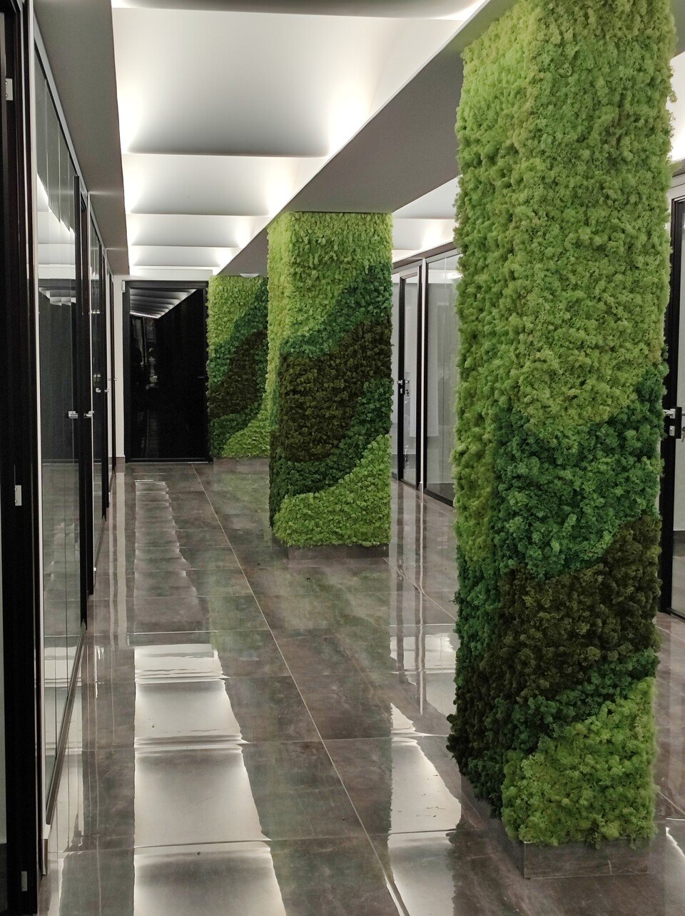 Parete Moss Stabilizzata - Sconti per Fioristi e Aziende . - Wall Moss a metro quadrato