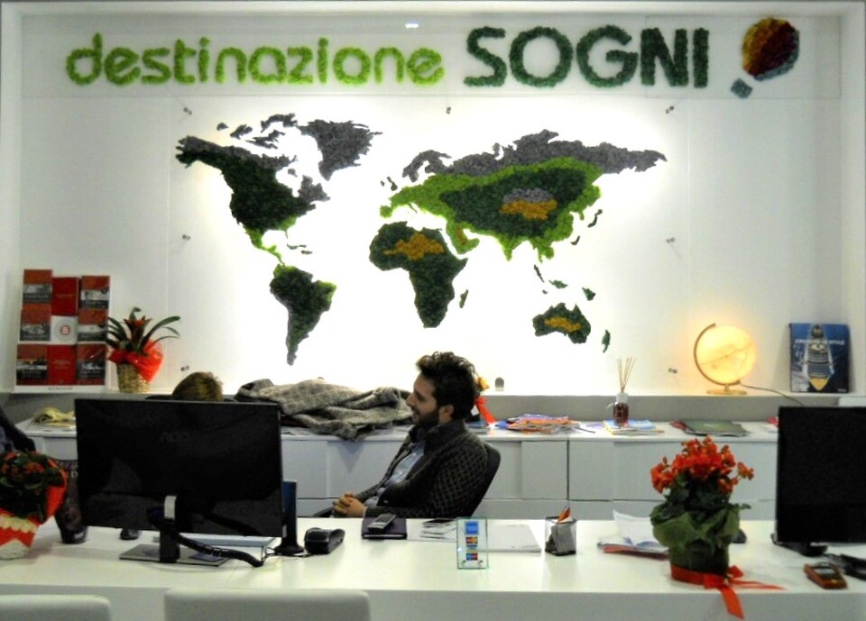 Parete Moss Stabilizzata - Sconti per Fioristi e Aziende . - Stile Planisfero Retroilluminato