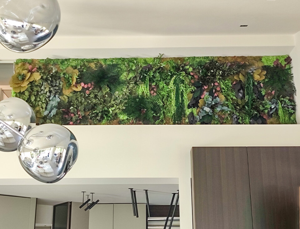 Giardini Vegetali Preservati - Sconti per Fioristi e Aziende . - Adatto per Interno