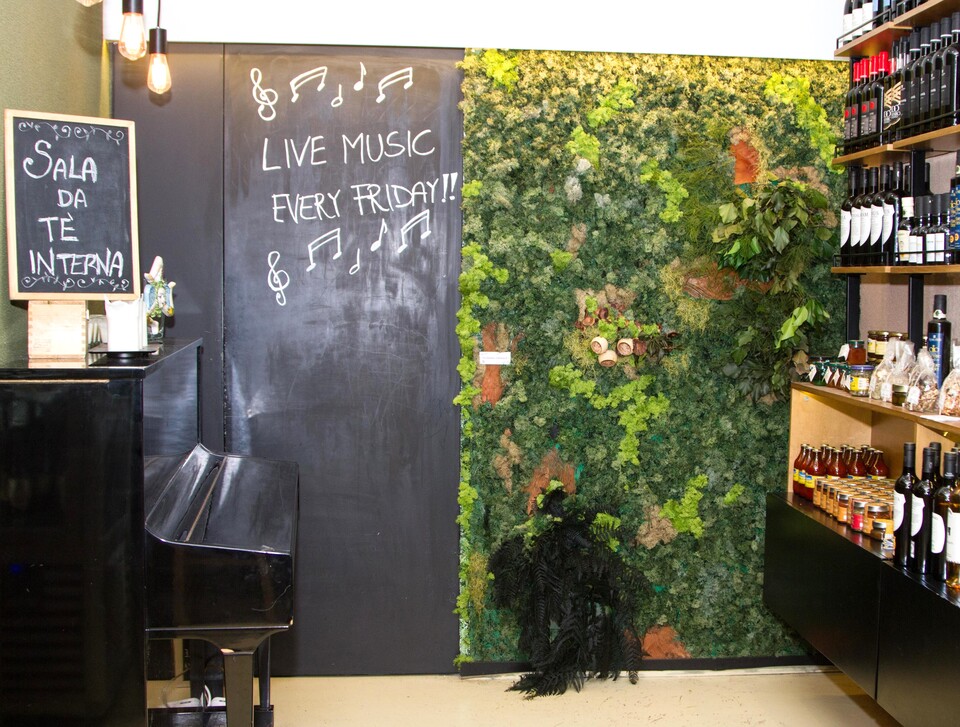 Giardini Vegetali Preservati - Sconti per Fioristi e Aziende . - Adatto per Interno