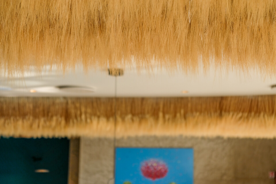 Soffitto Spighe di grano preservate per Ristoranti, Hotels e Resort . - a metro quadrato