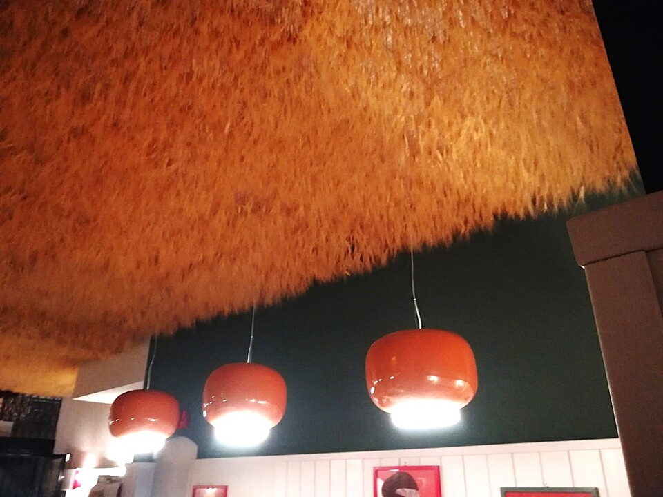 Soffitto Spighe di grano preservate per Ristoranti, Hotels e Resort . - a metro quadrato