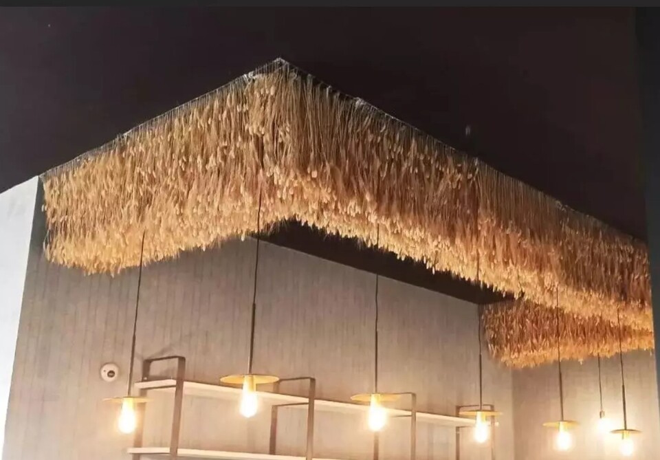 Soffitto Spighe di grano preservate per Ristoranti, Hotels e Resort . - a metro quadrato