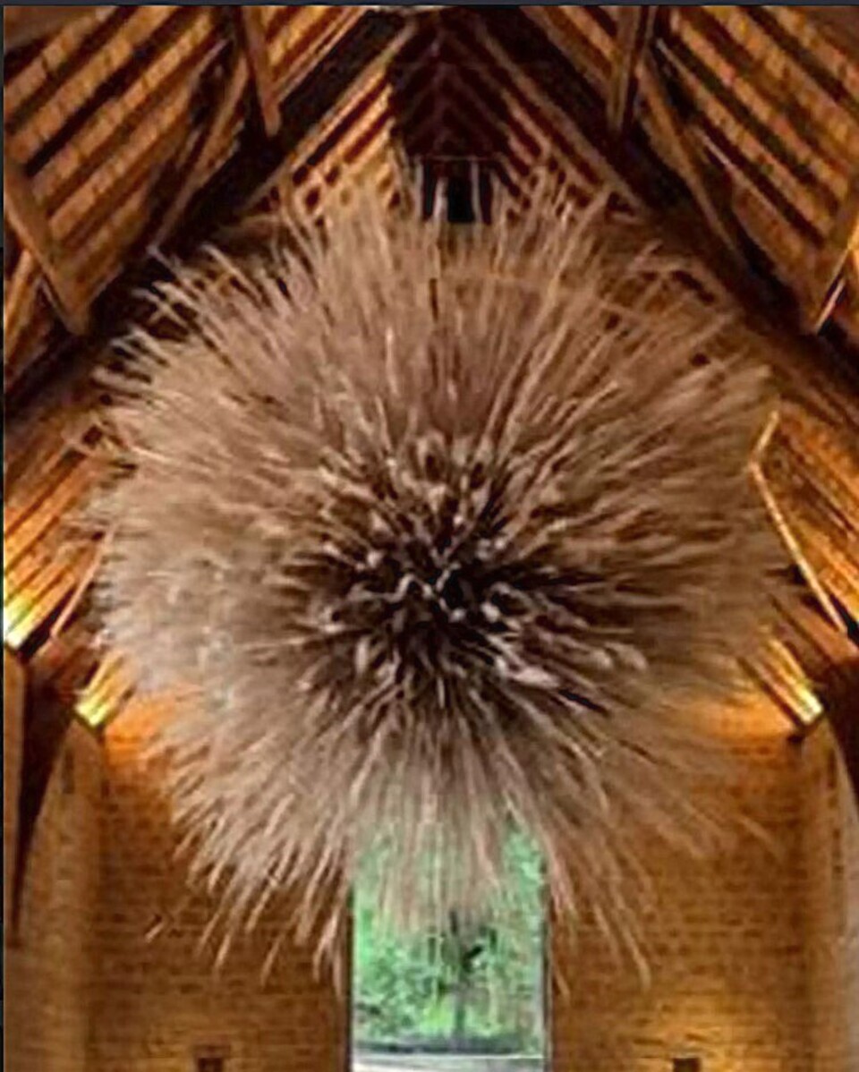 Soffitto Spighe di grano preservate per Ristoranti, Hotels e Resort . - a metro quadrato