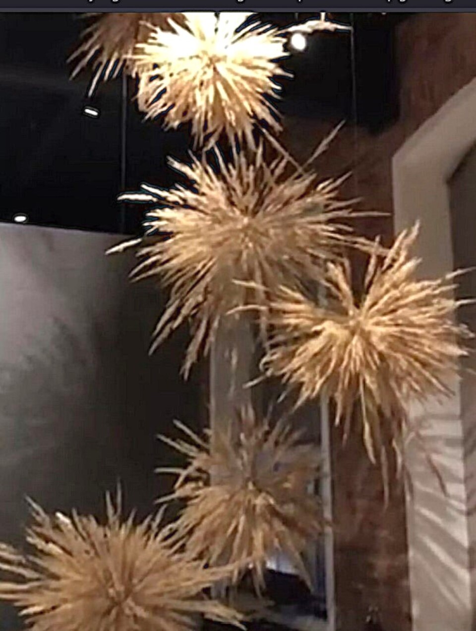 Soffitto Spighe di grano preservate per Ristoranti, Hotels e Resort . - a metro quadrato