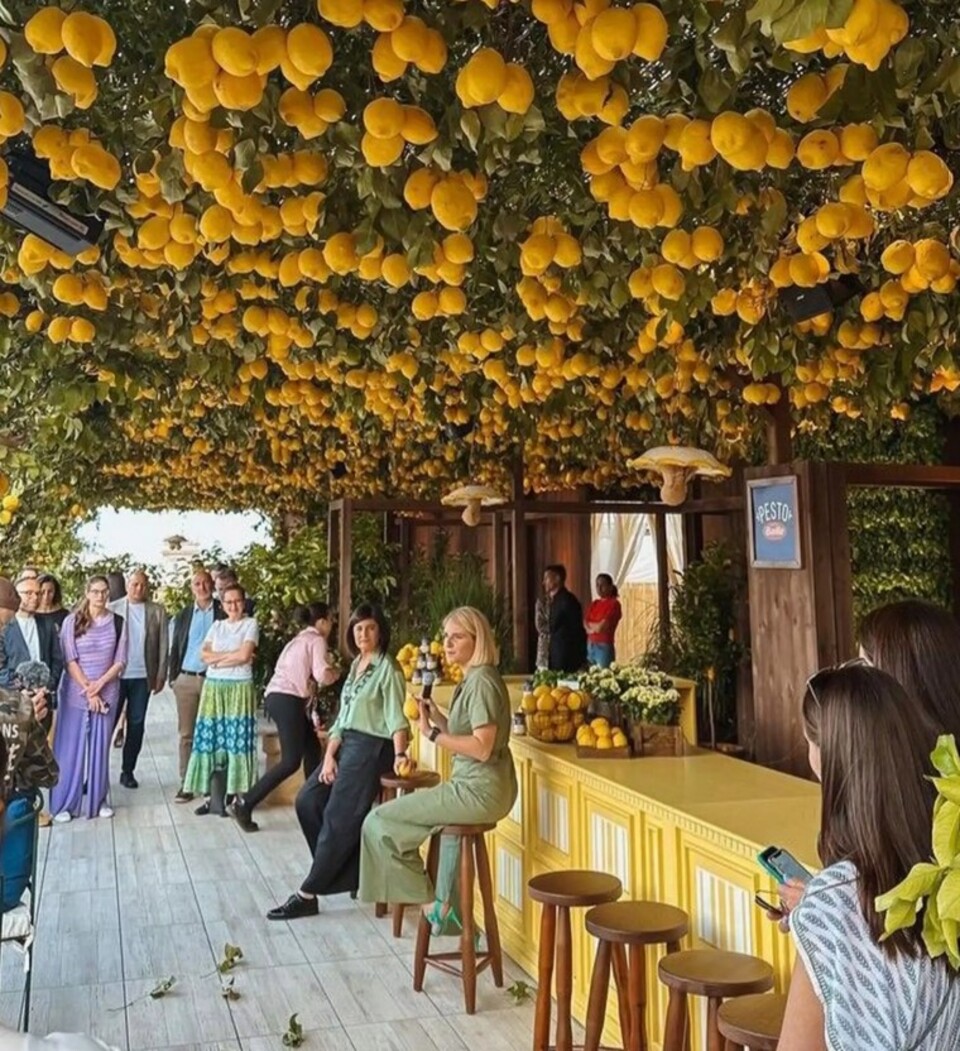 Soffitto Fiorito con Pendenti Artificiali - Sconto per Fioristi e Aziende - Per esterno ed interno